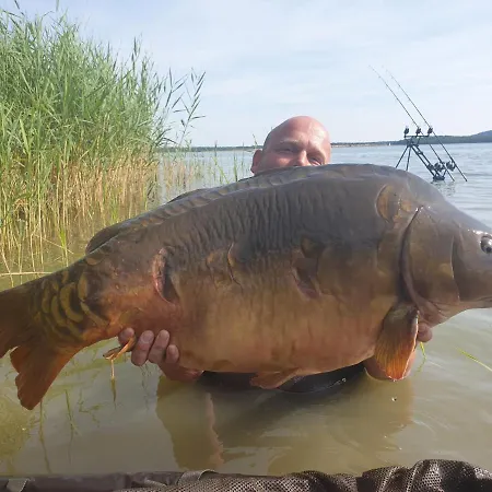 Casa vacanze Hebergements Du De Madine *