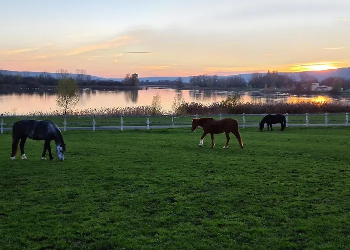 Hebergements Du De Madine